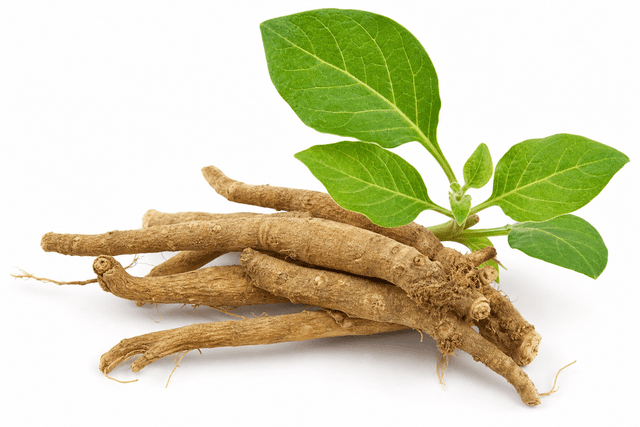 Organic Ashwagandha Root